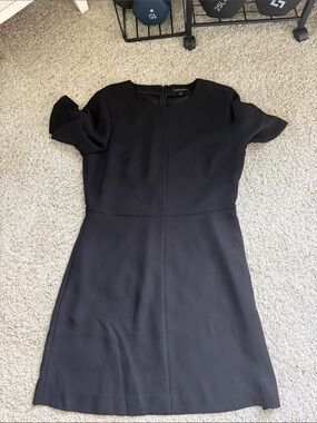 Banana Republic Black Mini Dress with Ruffle Short Sleeves